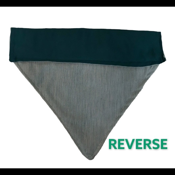 DOG BANDANA PERSONALIZED MAX EMBROIDERED TEAL - Picture 3 of 7